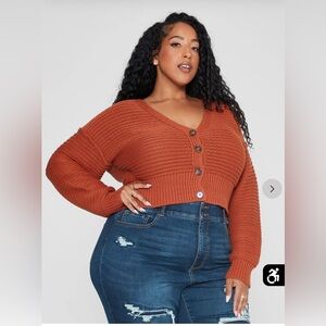 Fashion to Figure Burnt Orange Cropped Sweater